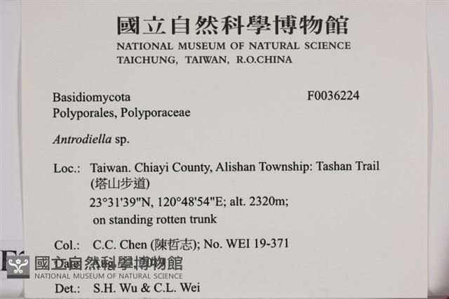 登錄號:F0036224藏品圖，第2張