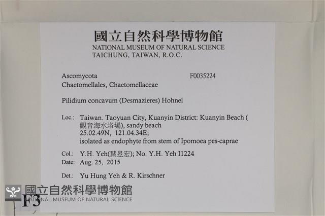 登錄號:F0035224藏品圖，第2張