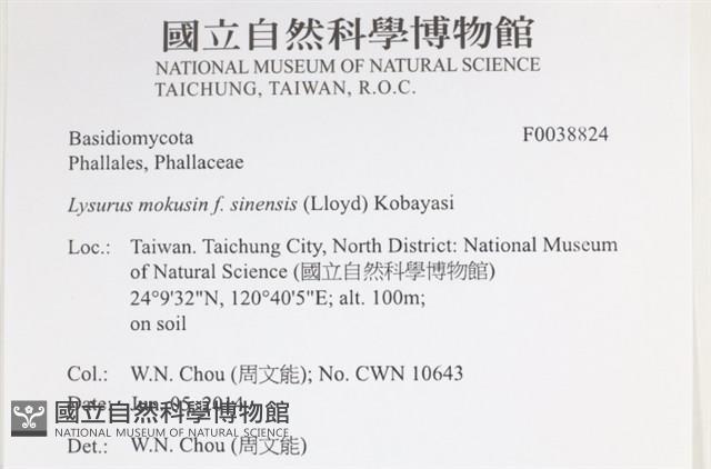 登錄號:F0038824藏品圖，第2張