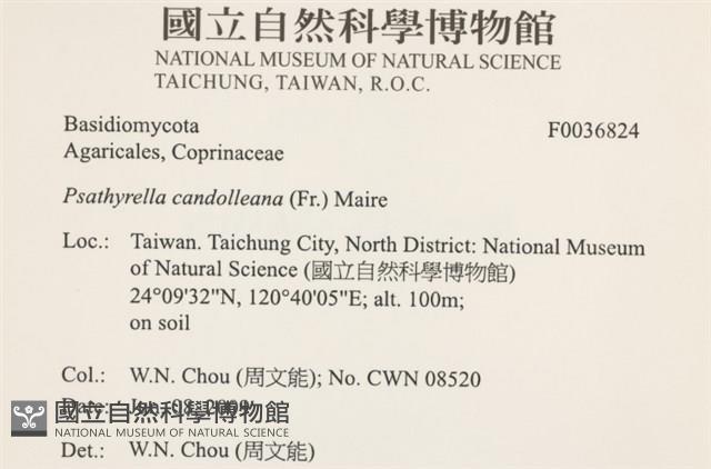 登錄號:F0036824藏品圖，第2張