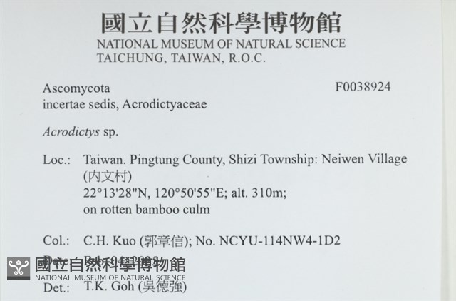 登錄號:F0038924藏品圖，第2張