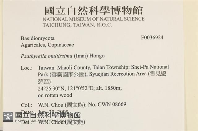 登錄號:F0036924藏品圖，第2張