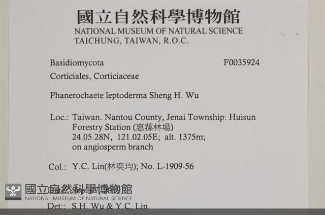 登錄號:F0035924藏品圖，第2張
