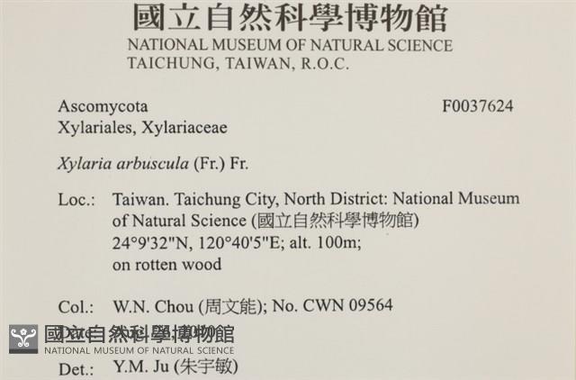 登錄號:F0037624藏品圖，第2張