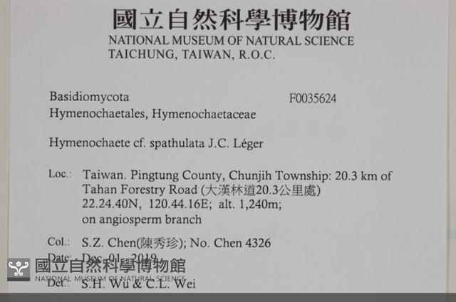 登錄號:F0035624藏品圖，第2張