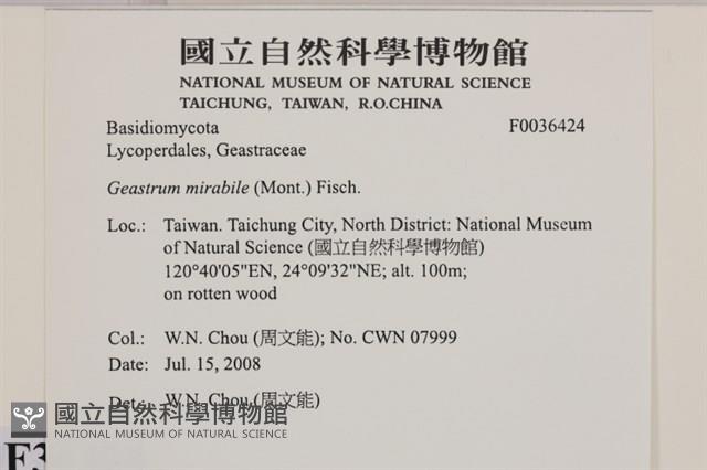 登錄號:F0036424藏品圖，第2張