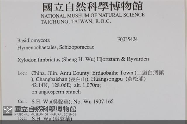 登錄號:F0035424藏品圖，第2張