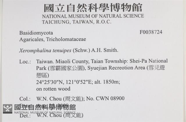 登錄號:F0038724藏品圖，第2張