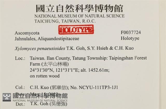 登錄號:F0037724藏品圖，第2張
