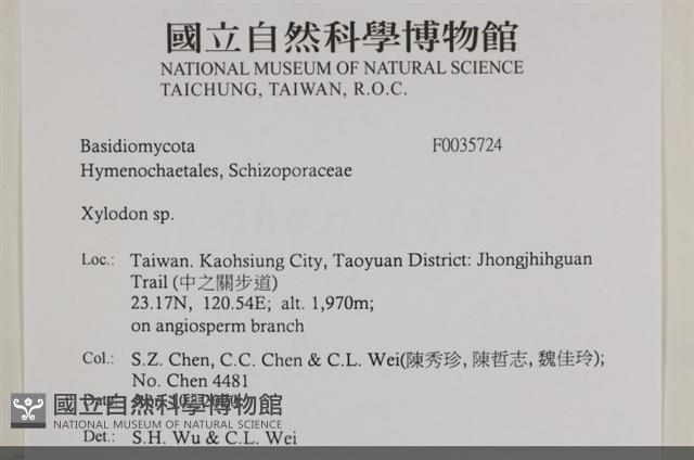 登錄號:F0035724藏品圖，第2張