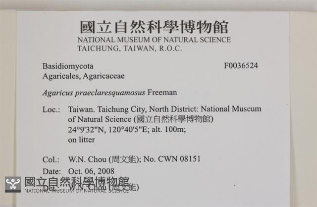 登錄號:F0036524藏品圖，第2張