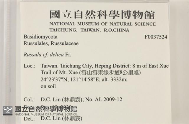 登錄號:F0037524藏品圖，第2張