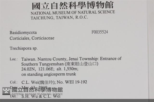 登錄號:F0035524藏品圖，第3張
