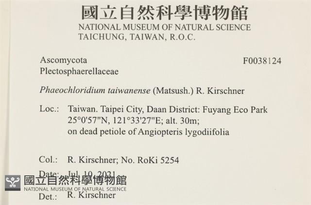 登錄號:F0038124藏品圖，第2張