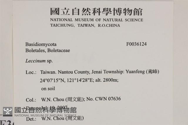 Accession Number:F0036124 Collection Image, Figure 2, Total 3 Figures