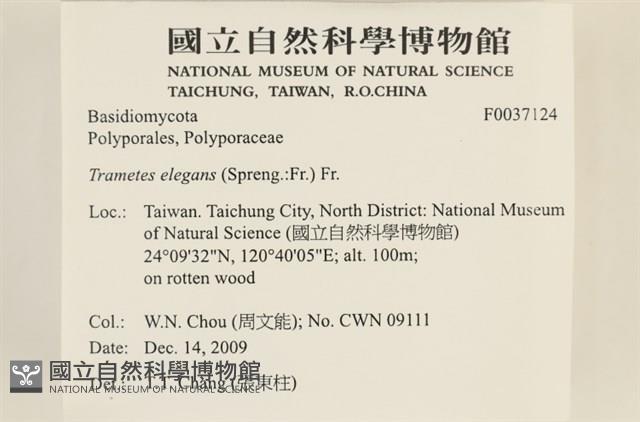 登錄號:F0037124藏品圖，第2張