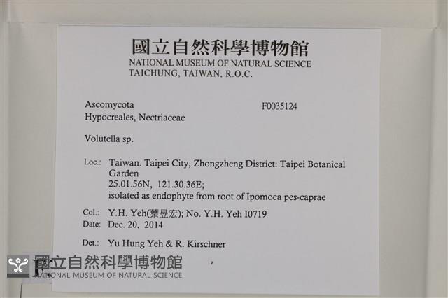 登錄號:F0035124藏品圖，第2張