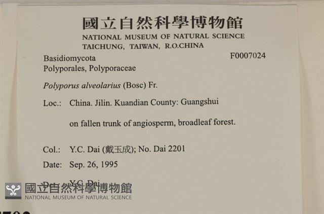 登錄號:F0007024藏品圖，第4張