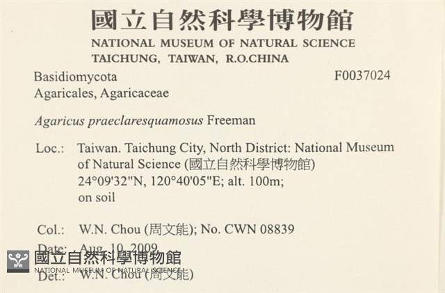 登錄號:F0037024藏品圖，第2張