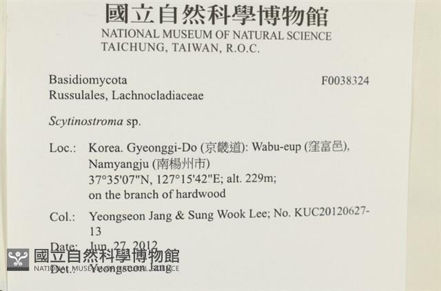登錄號:F0038324藏品圖，第2張