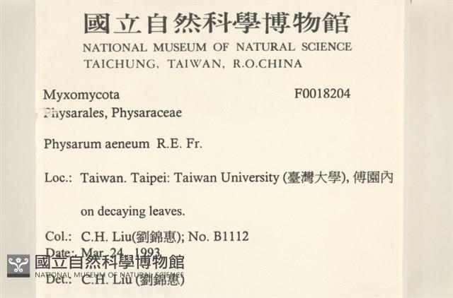 登錄號:F0018204藏品圖，第2張