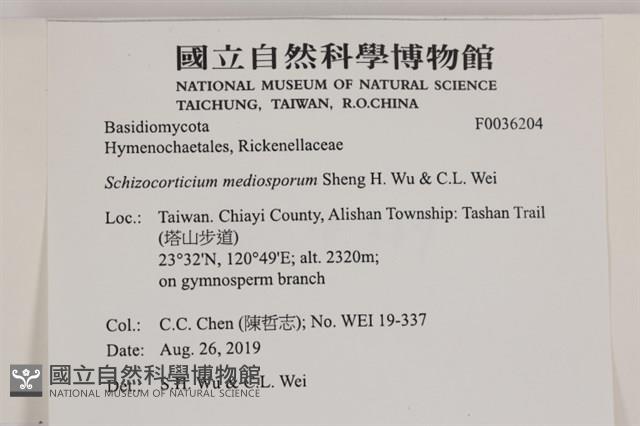 登錄號:F0036204藏品圖，第2張