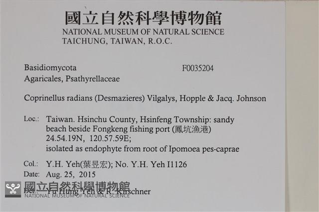 登錄號:F0035204藏品圖，第2張