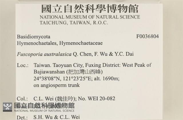 登錄號:F0036804藏品圖，第2張