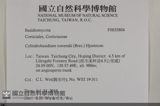 登錄號:F0035804藏品圖，第2張
