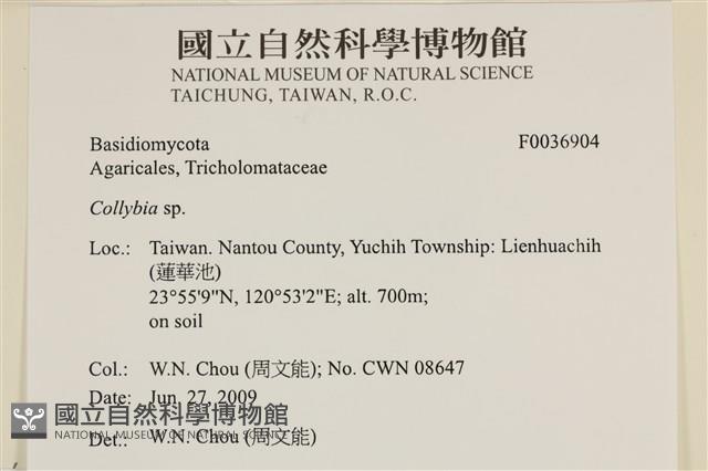 登錄號:F0036904藏品圖，第2張