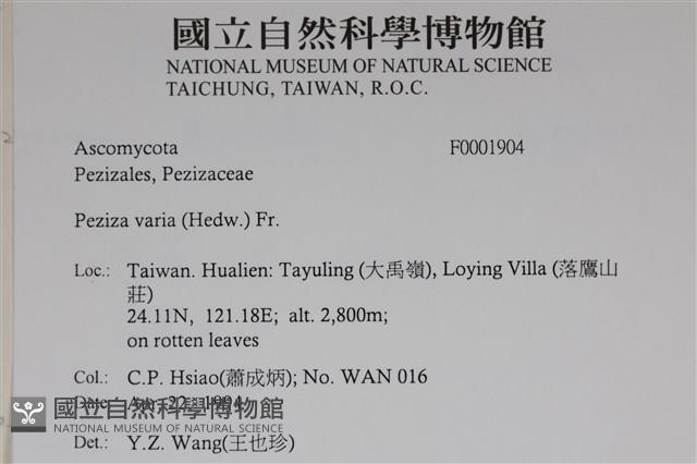 登錄號:F0001904藏品圖，第2張