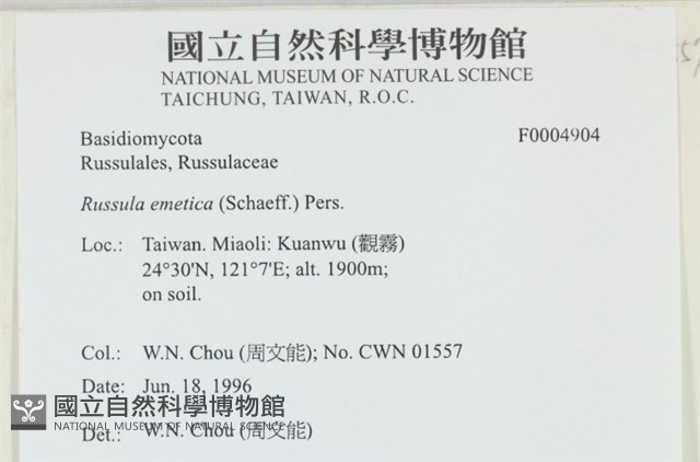 登錄號:F0004904藏品圖，第4張