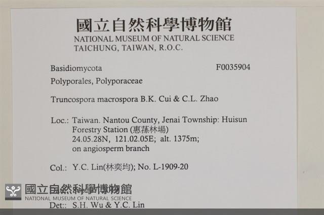 登錄號:F0035904藏品圖，第2張