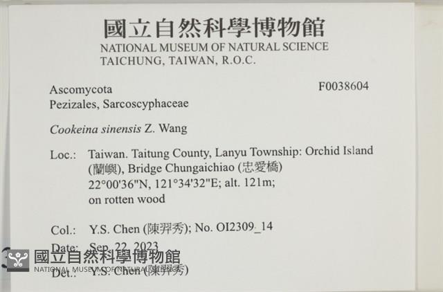 登錄號:F0038604藏品圖，第2張