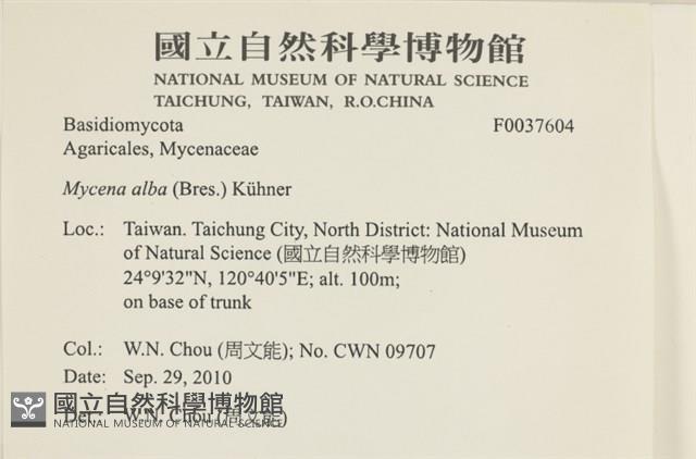 登錄號:F0037604藏品圖，第2張