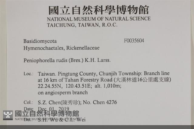 登錄號:F0035604藏品圖，第2張