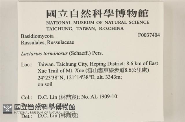登錄號:F0037404藏品圖，第2張