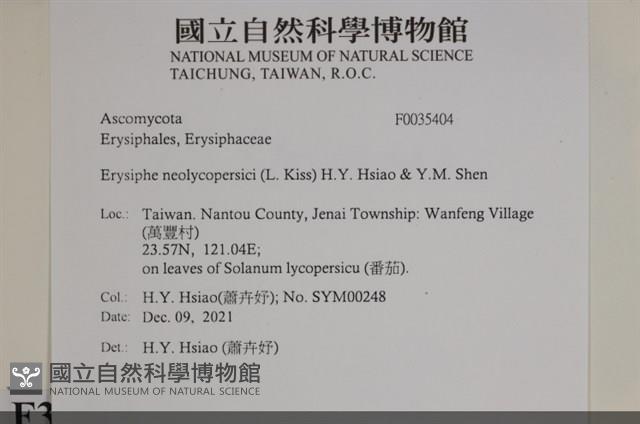 登錄號:F0035404藏品圖，第2張