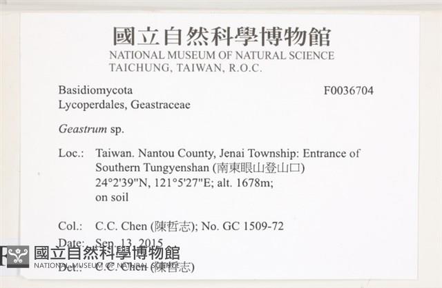 地星屬藏品圖，第2張