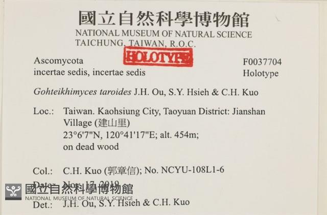 登錄號:F0037704藏品圖，第2張