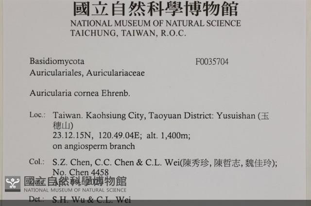登錄號:F0035704藏品圖，第2張