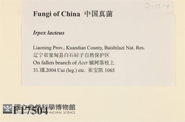 登錄號:F0017504藏品圖，第2張