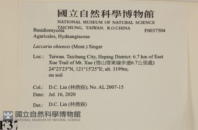登錄號:F0037504藏品圖，第2張