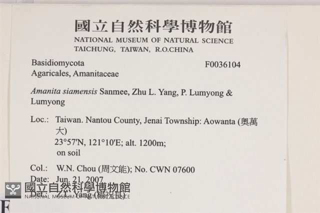 登錄號:F0036104藏品圖，第2張
