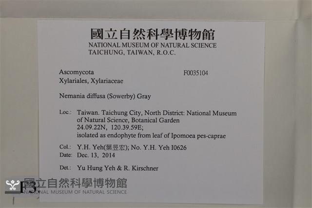 登錄號:F0035104藏品圖，第2張