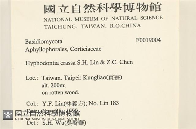 登錄號:F0019004藏品圖，第2張