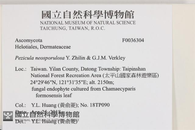 登錄號:F0036304藏品圖，第2張