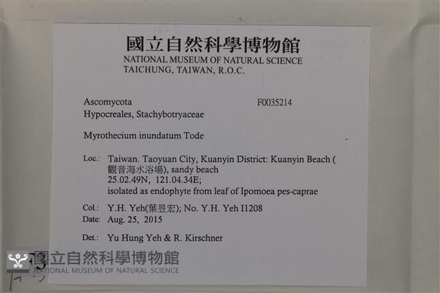 登錄號:F0035214藏品圖，第2張