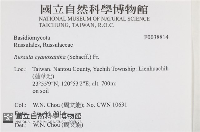 登錄號:F0038814藏品圖，第2張