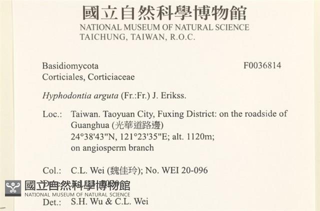 登錄號:F0036814藏品圖，第2張